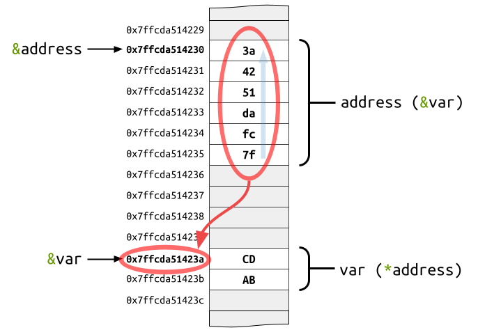variable and pointer stores in memory