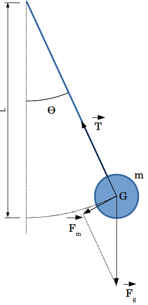 Overview of the pendumum modelized