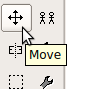 The move icon
