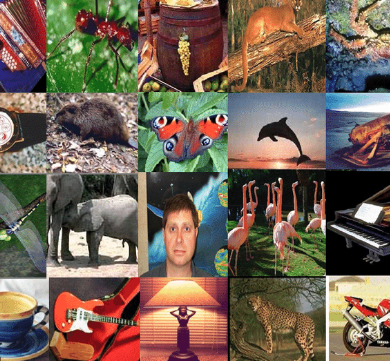 Caltech 101, pictures of objectcts belonging to 101 categories.