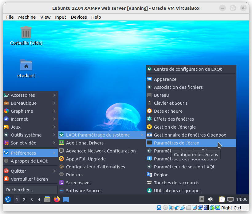 Lubuntu display settings