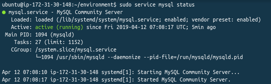 MySQL installed and running on an Amazon AWS EC2 Cloud9 environment